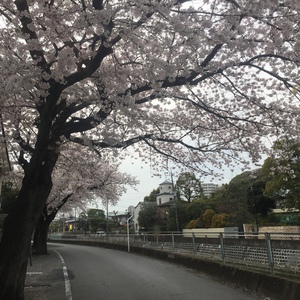 【4月5日(水)　日帰りサーフィンツアー＠鹿島灘】