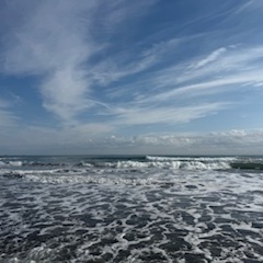 【2025年10月28日(火) 日帰りサーフツアー&サーフスクール】