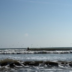 【2025年10月30(木)　日帰りサーフツアー＆サーフスクール】