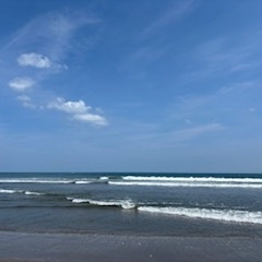 【2025年11月2日(日)　日帰りサーフツアー＆サーフスクール】