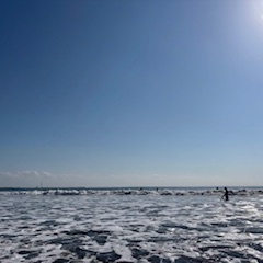 【2025年11月27日(木)　日帰りサーフツアー＆サーフスクール】