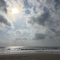 【2025年12月2日(火)　日帰りサーフツアー＆サーフスクール】