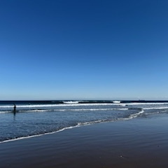 【2026年1月14日(水)　日帰りサーフツアー＆サーフスクール】