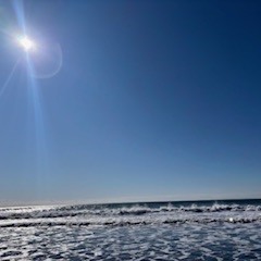 【2026年1月25日(日)　日帰りサーフツアー＆サーフスクール】