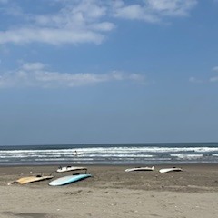 【2026年2月23日(日)　日帰りサーフツアー＆サーフスクール】