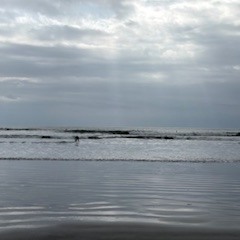 【2026年3月2日(月)　日帰りサーフツアー＆サーフスクール】