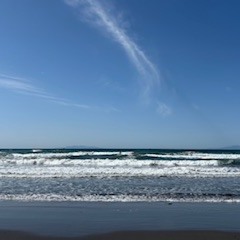 【2026年3月7日(土)　日帰りサーフツアー＆サーフスクール】