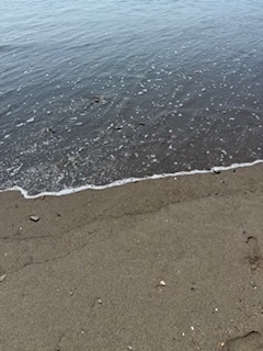 250704.jpg